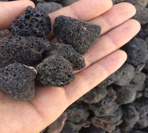 پوکه قروه در تهران